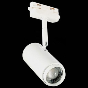 Светильник на штанге ST-Luce Zoom ST600.546.12 в Тюмени - tumen.mebel24.online | фото 6