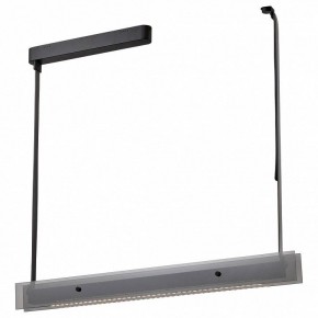 Светильник на штанге Wertmark Kuno WE435.10.023 в Тюмени - tumen.mebel24.online | фото