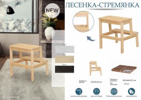 Табурет Стремянка в Тюмени - tumen.mebel24.online | фото 3