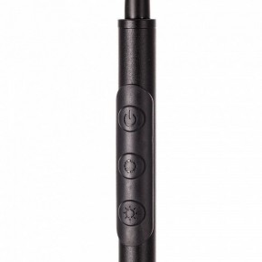 Торшер Citilux Alex CL804051 в Тюмени - tumen.mebel24.online | фото 4