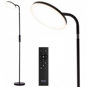 Торшер Citilux SOLO CL804061 в Тюмени - tumen.mebel24.online | фото 2