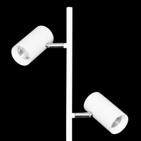Торшер Citilux Twin CL809010N в Тюмени - tumen.mebel24.online | фото 6
