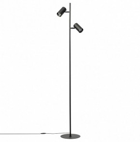 Торшер Citilux Twin CL809011N в Тюмени - tumen.mebel24.online | фото