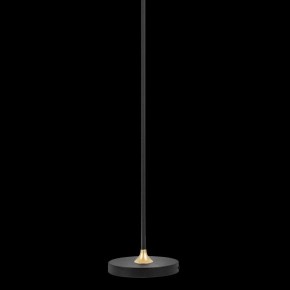 Торшер Lightstar Acrile 738773 в Тюмени - tumen.mebel24.online | фото 5