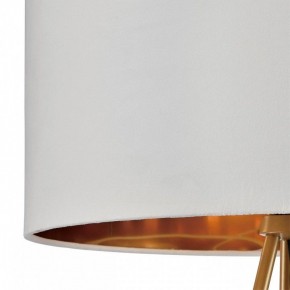 Торшер Lumion Tapioka 8077/1F в Тюмени - tumen.mebel24.online | фото 6