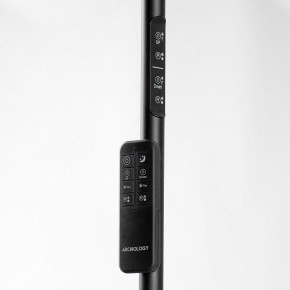 Торшер Lussole Carmel LSP-0901-SE в Тюмени - tumen.mebel24.online | фото 5