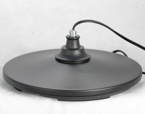 Торшер Lussole Greene LSP-0572 в Тюмени - tumen.mebel24.online | фото 4