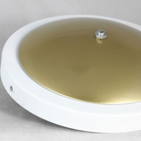 Торшер Lussole LSP-062 LSP-0625 в Тюмени - tumen.mebel24.online | фото 2