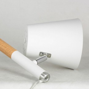 Торшер Lussole Buckeye LSP-0628 в Тюмени - tumen.mebel24.online | фото 4