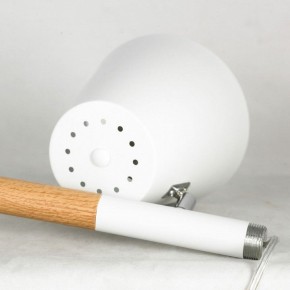 Торшер Lussole Buckeye LSP-0628 в Тюмени - tumen.mebel24.online | фото 5