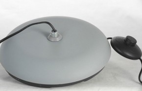 Торшер Lussole Flagstaff LSP-0630 в Тюмени - tumen.mebel24.online | фото 6