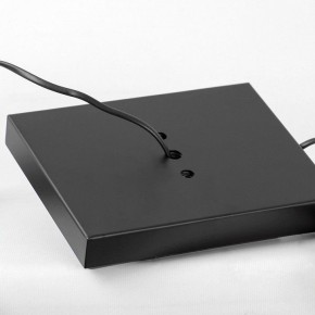 Торшер Lussole Prairie LSP-0913 в Тюмени - tumen.mebel24.online | фото 4