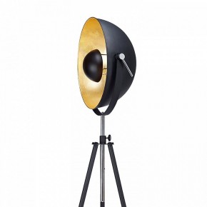 Торшер Lussole Sherrelwood LSP-9824 в Тюмени - tumen.mebel24.online | фото 2