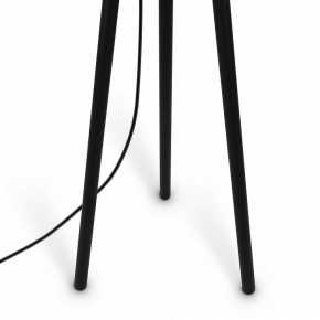 Торшер Maytoni Calvin Z177FL-01B в Тюмени - tumen.mebel24.online | фото 7