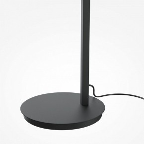 Торшер Maytoni Emphaty MOD363FL-L14B3K в Тюмени - tumen.mebel24.online | фото 5