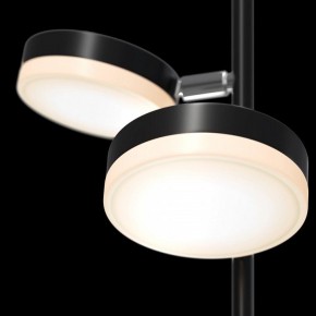Торшер Maytoni Fad MOD070FL-L12B3K в Тюмени - tumen.mebel24.online | фото