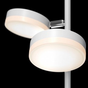 Торшер Maytoni Fad MOD070FL-L12W3K в Тюмени - tumen.mebel24.online | фото 5
