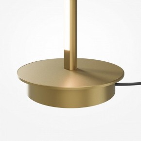 Торшер Maytoni Thin MOD395FL-L28BS3K в Тюмени - tumen.mebel24.online | фото 7