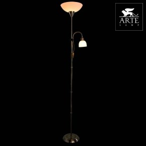 Торшер с подсветкой Arte Lamp Duetto A9569PN-2AB в Тюмени - tumen.mebel24.online | фото 3