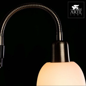 Торшер с подсветкой Arte Lamp Duetto A9569PN-2AB в Тюмени - tumen.mebel24.online | фото 4
