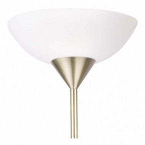Торшер с подсветкой Arte Lamp Duetto A9569PN-2AB в Тюмени - tumen.mebel24.online | фото 5