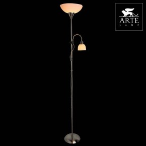 Торшер с подсветкой Arte Lamp Duetto A9569PN-2SS в Тюмени - tumen.mebel24.online | фото 3