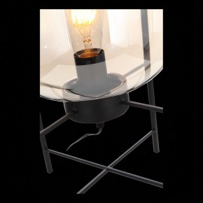 Торшер ST-Luce Burasca SL1050.505.01 в Тюмени - tumen.mebel24.online | фото 9