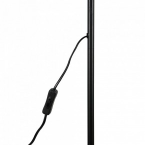 Торшер Uniel UML-T701 UL-00010188 в Тюмени - tumen.mebel24.online | фото 8