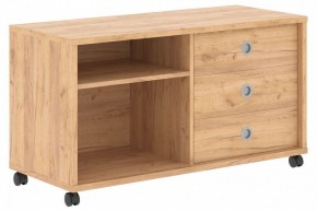 Тумба комбинированная Born B 202A в Тюмени - tumen.mebel24.online | фото