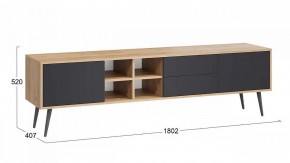 Тумба под ТВ Тип 5 в Тюмени - tumen.mebel24.online | фото 6