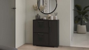 Тумбочка для обуви Тип 15 в Тюмени - tumen.mebel24.online | фото 5