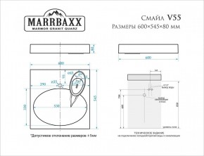 Умывальник над стиральной машиной (600*545*80) Смайл V55D1 (белый) с кронштейном без сифона (V55D1) в Тюмени - tumen.mebel24.online | фото 2