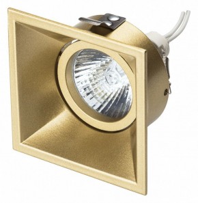 Встраиваемый светильник Lightstar Domino 214503 в Тюмени - tumen.mebel24.online | фото 2