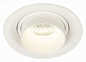 Встраиваемый светильник ST-Luce Zoom ST701.548.12 в Тюмени - tumen.mebel24.online | фото 2